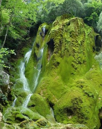 La cascade verte